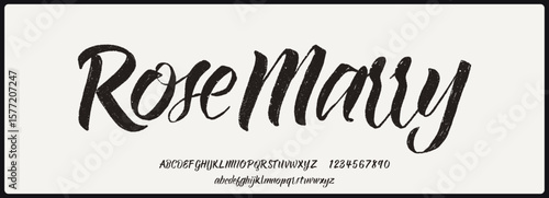 Brush script vector font with texture. Creative hand drawn uppercase and lowercase. Classic lettering fashion designs Typography script decorative vintage concept vector illustration