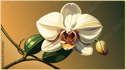 orchid flower vector