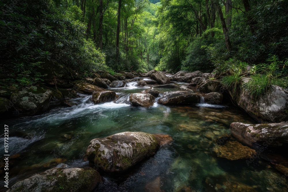 Obraz premium Mountain stream flowing through lush forest