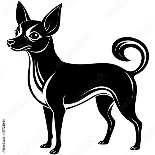Vector art of a black chihuahua dog standing on a white background