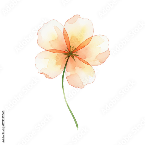 A beautiful and elegant vector illustration of a single flower in a soft, minimalist watercolor style. Perfect for invitations, branding, and designs requiring a touch of gentle nature.
