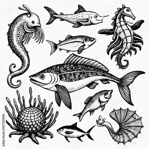 vector set of sea animals