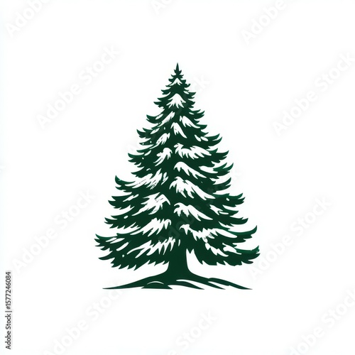 Evergreen tree standing tall against a bright background showcasing nature’s beauty
