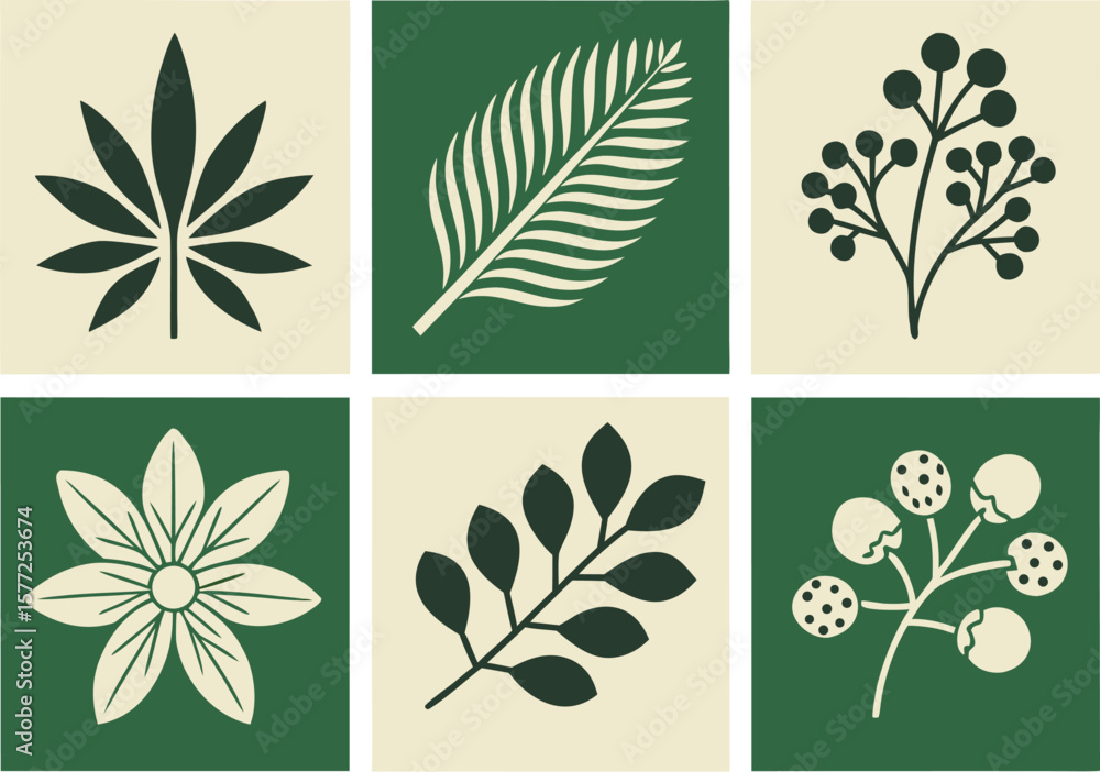 Obraz premium Collection of six stylized botanical illustrations in square frames with contrasting colors