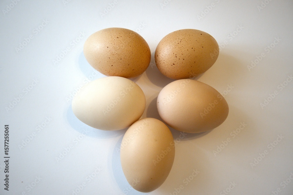 5 brown chicken eggs isolated with white background. 5 brown chicken eggs isolated with white background.