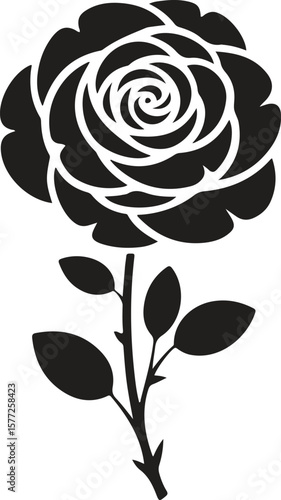 Rose icon vector design with a white background