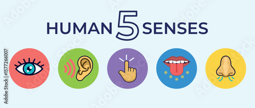 Five Senses Icon Set. Symbolic Vector Design Representing Human Senses Sight, Smell, Hearing, Taste, and Touch