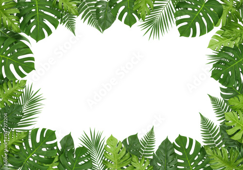 Vibrant green border of glossy Monstera, palm, and fern leaves frames a clean white background in a flat lay studio shot, illuminated by shadowless light. Concept of tropical freshness and copy space