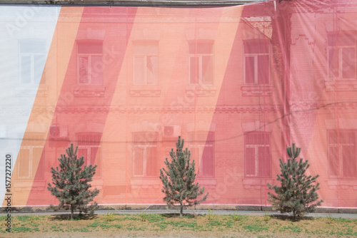 three small pine trees planted near an old building hung with translucent decorative fabric