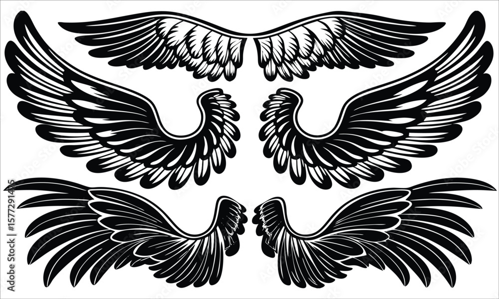 Fototapeta premium Black feathered wings collection feathers white