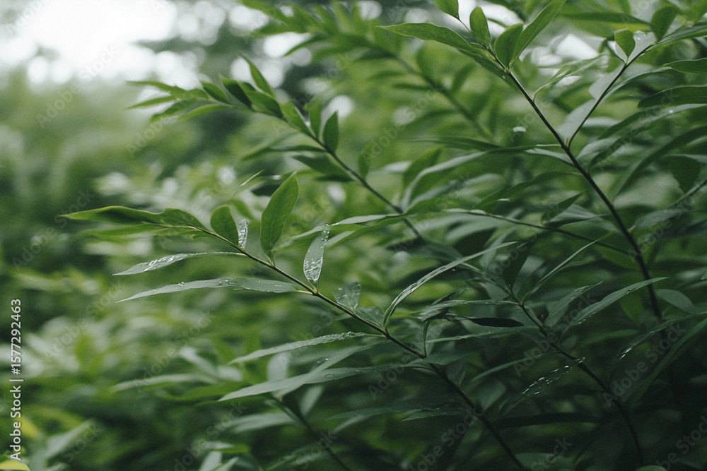Naklejka premium Soft-focus green leaves illuminated by sunlight in nature