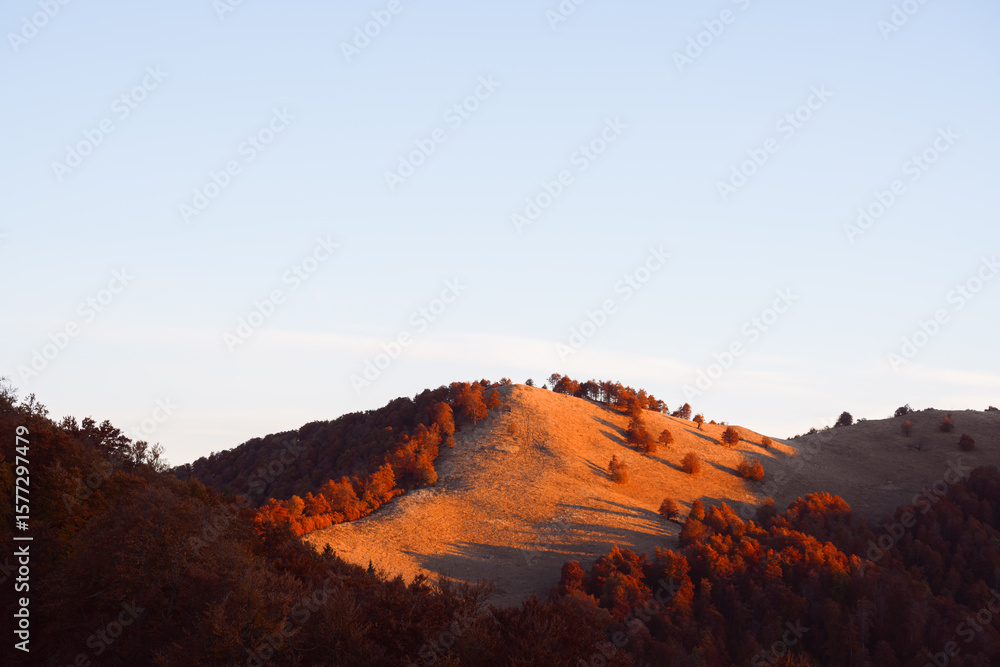 Fototapeta premium Warm morning light painted the hills with red beech trees in the autumn mountains. Clear sky and orange forest during sunrise. Landscape photography