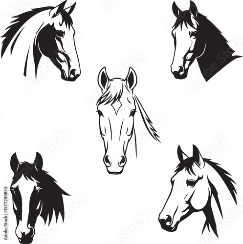 horse face silhouette vector, black and white horse face illustration, minimalistic horse head vector, horse face outline drawing, horse head front view silhouette, stallion face black and white 