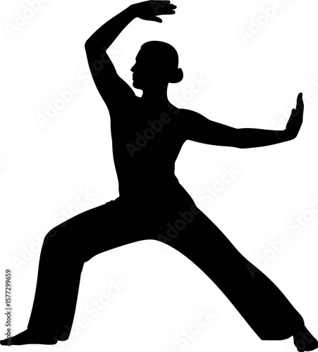 Qi Gong Energy Movements silhouette on white background
