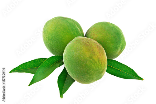 Wallpaper Mural three peaches with leaves on a white background Torontodigital.ca