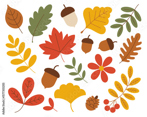 Autumn Leaves and Harvest Fruits Vector Set with Seasonal Elements for Fall Design, Thanksgiving Decorations, Nature Themes, and Seasonal Illustration Projects

