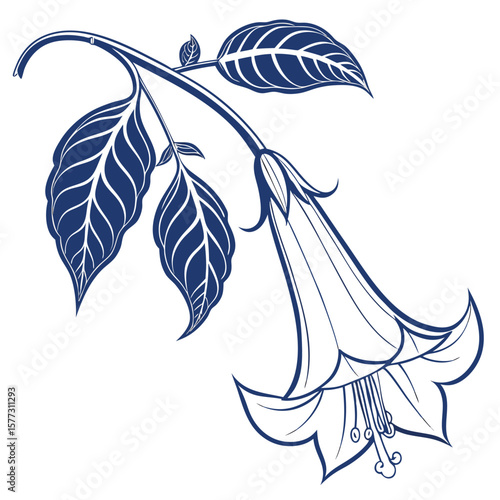 black and white peruvian cantuta