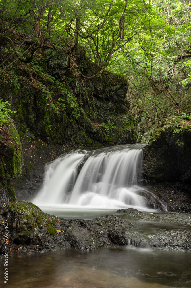 Fototapeta premium 山梨県北杜市の塩川の滝