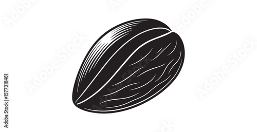 Detailed black and white illustration of a single sunflower seed silhouette