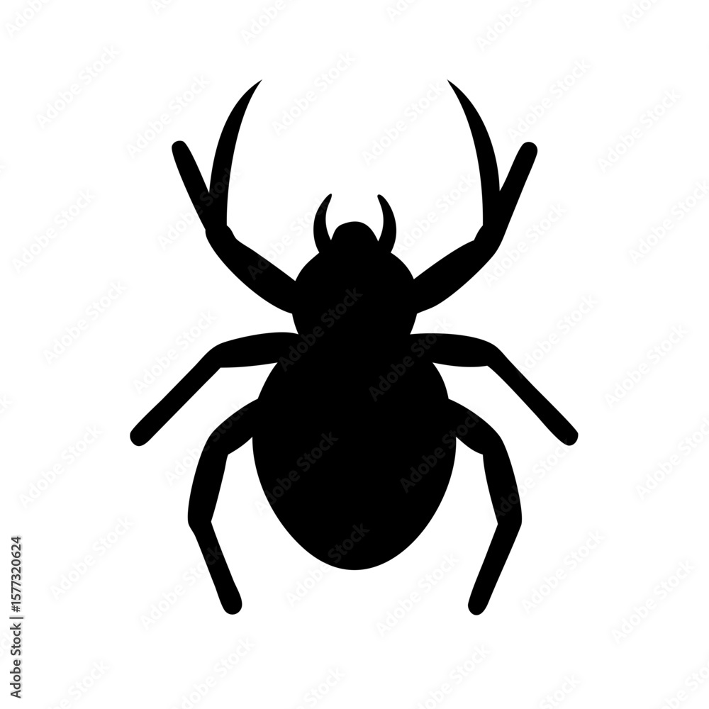 Obraz premium Spider: Intriguing Arachnids of Nature