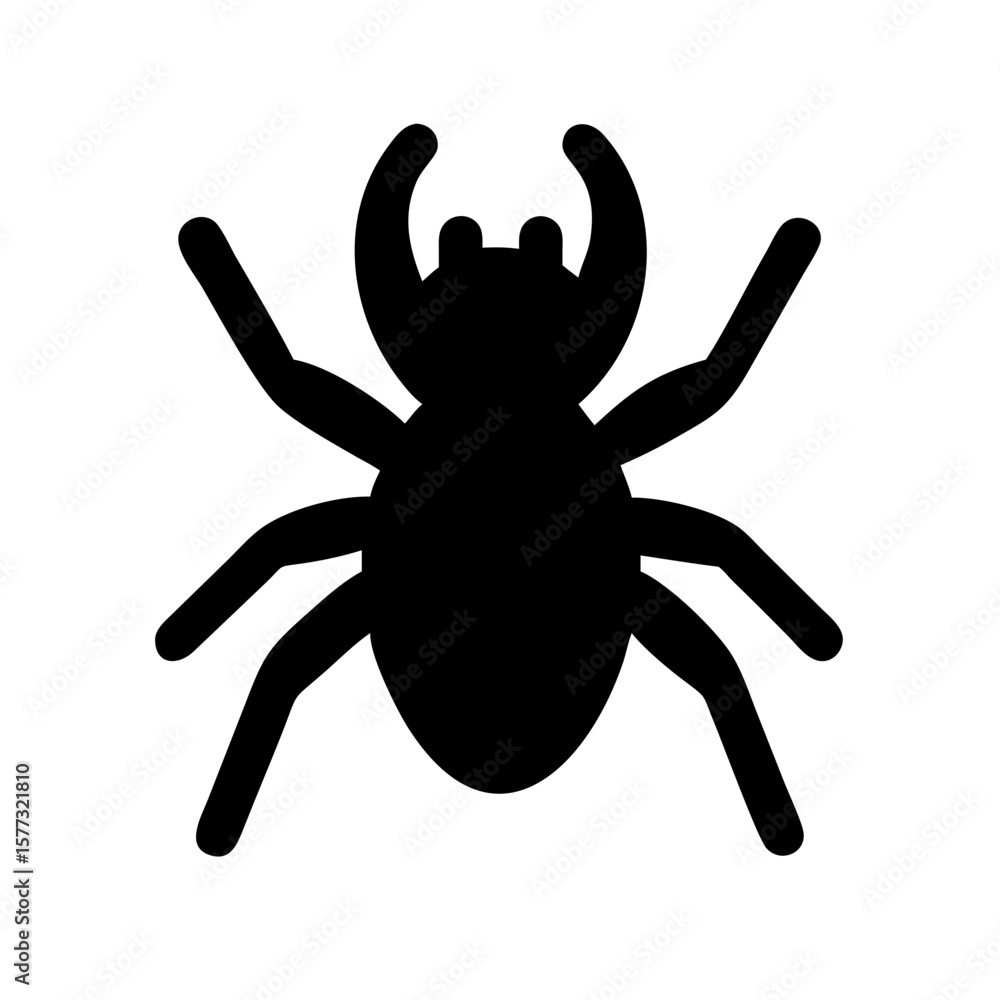 Obraz premium Spider: Intriguing Arachnids of Nature