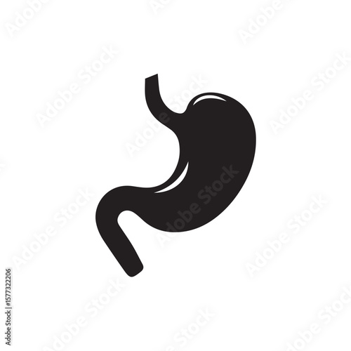 stomach vector illustration