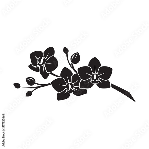 Black silhouette of orchid flowers. Vector illustration.