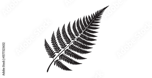 Detailed black fern frond against a clean white background silhouette