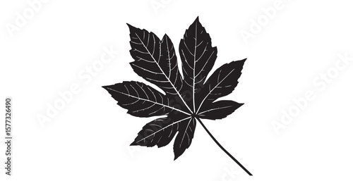 Detailed black and white castor bean leaf with visible veins silhouette