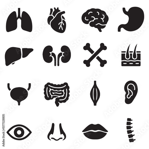 Flat vector icon set of human anatomy and body parts in black silhouette style. 