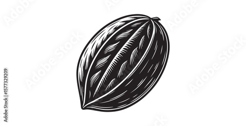 Detailed black and white illustration of a cocoa pod with a distinctive linocut silhouette style