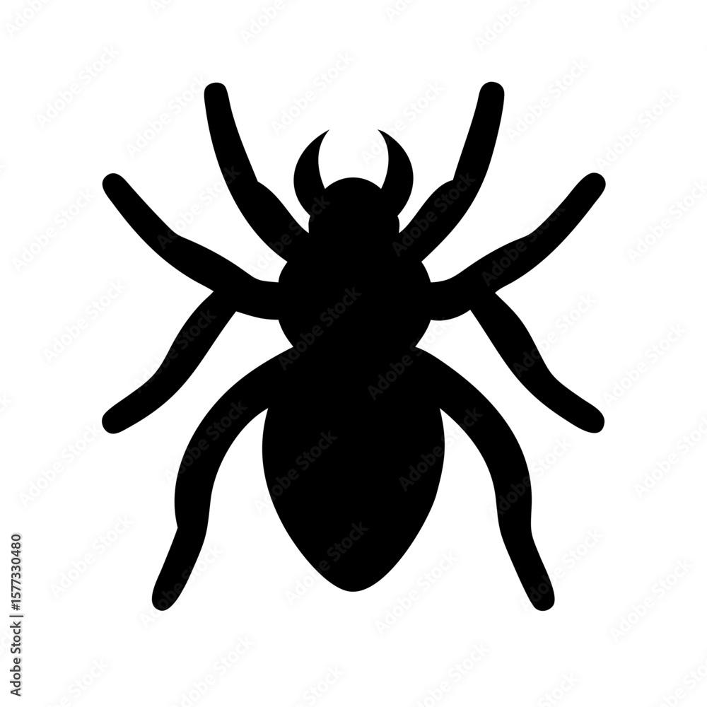 Obraz premium Spider: Intriguing Arachnids of Nature