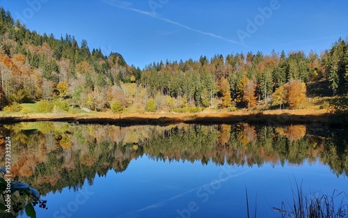 Nonnenmattweiher im südlichen Schwarzwald