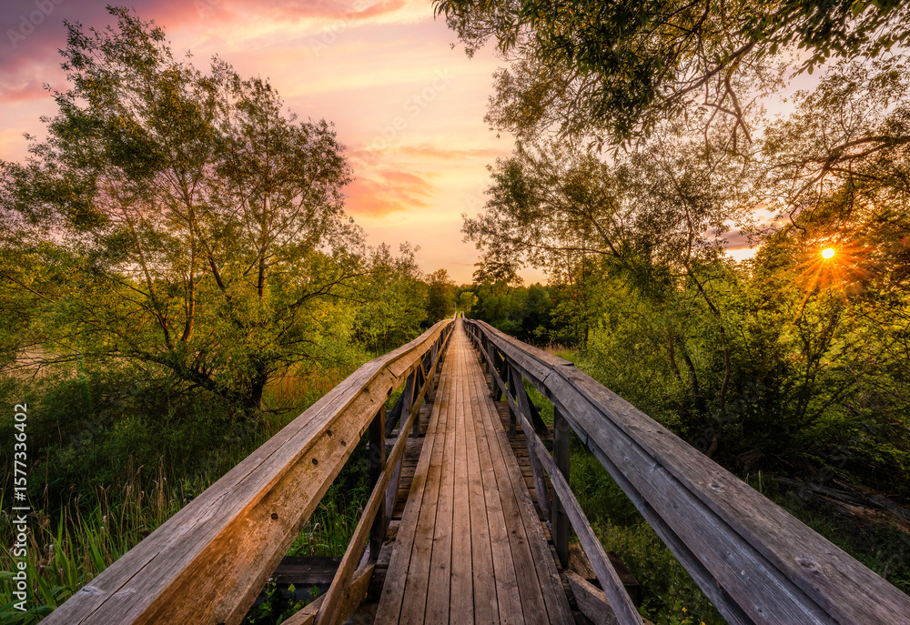 Obraz premium wooden bridge over the river