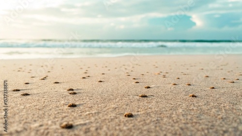 Fototapeta Naklejka Na Ścianę i Meble -  Close-up of the sandy shore at the water's edge, showing intricate details of the sand grains and small natural debris. The blurred background features the calming ocean and horizon