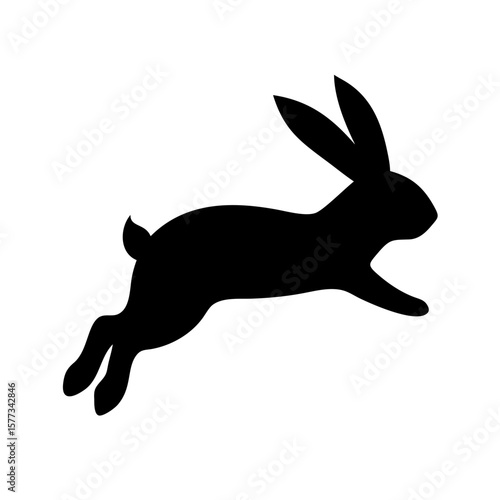Jumping Rabbit: The Agile and Adorable Hopper