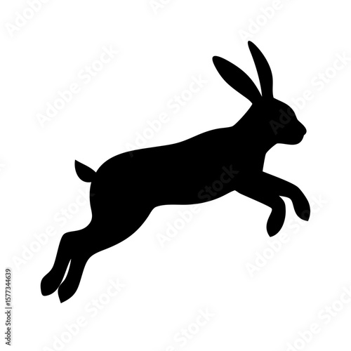 Jumping Rabbit: The Agile and Adorable Hopper