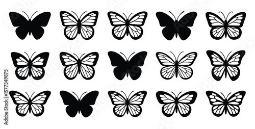 Black and White Butterfly Silhouettes and Detailed Butterfly Illustrations Set of Eighteen Insects vector