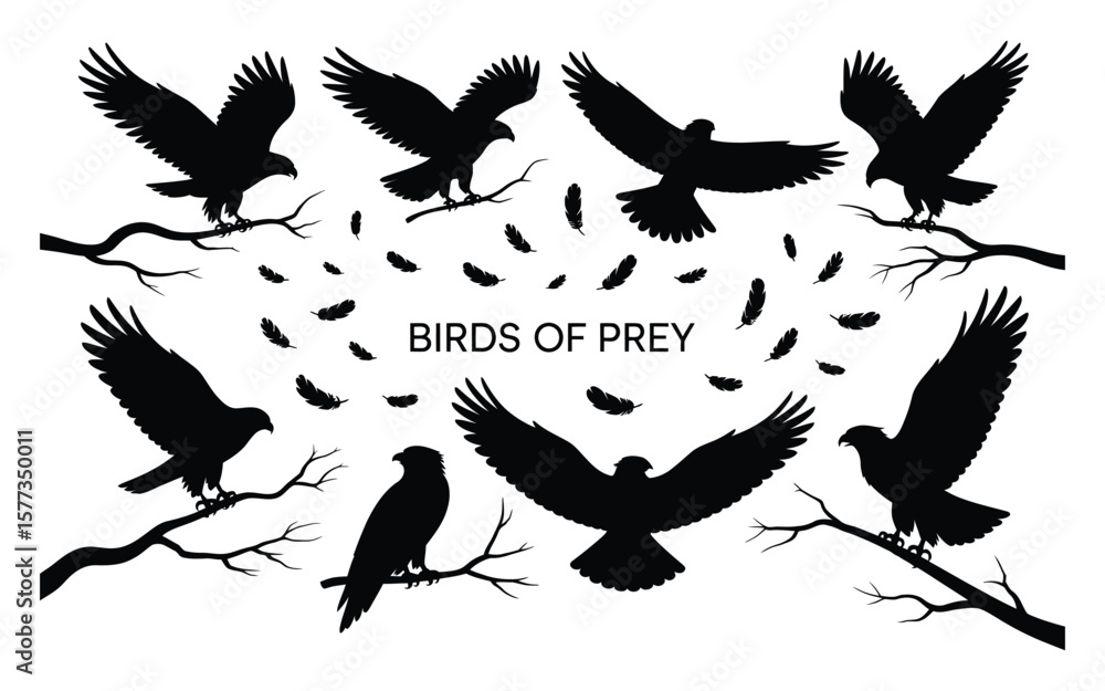 Obraz premium Black Silhouette Birds of Prey Flying Perched Branches Feathers White Background predator eagle