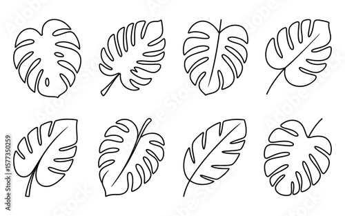 Black Line Drawings of Monstera Leaves Various Shapes and Orientations on White Background leaf