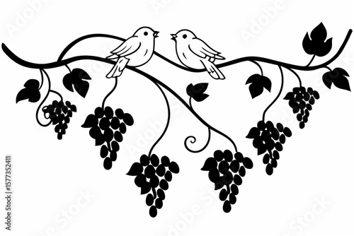 bunch of grapes