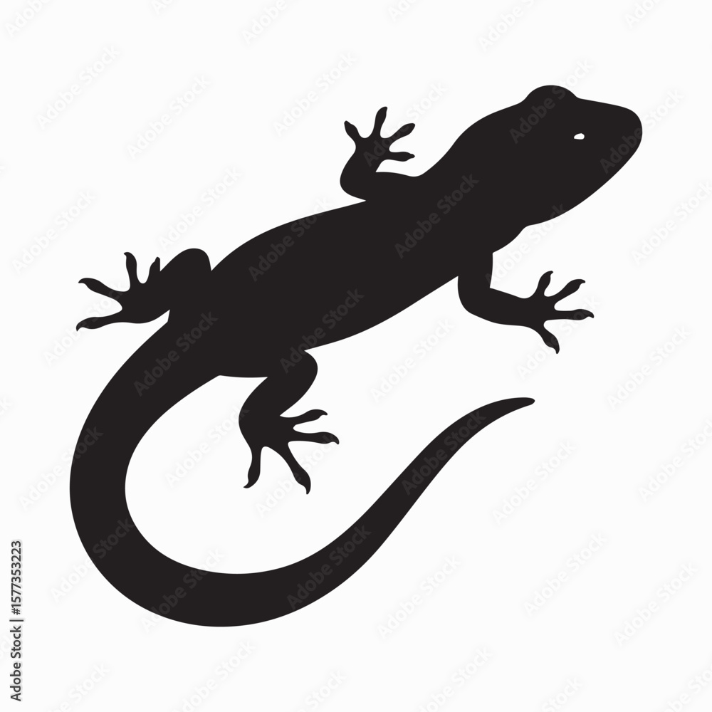 Obraz premium Salamander silhouette image Silhouette White background. 