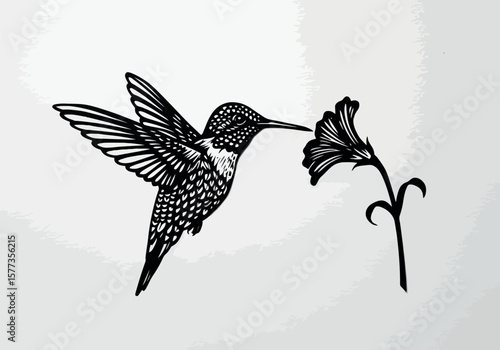 Exquisite hummingbird silhouette elegantly approaches a flower, showcasing intricate detail and a natural, graceful design.