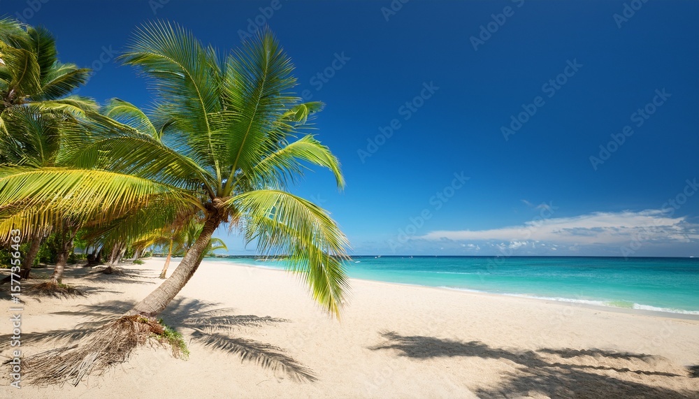 Obraz premium palms on empty idyllic tropical sand beach