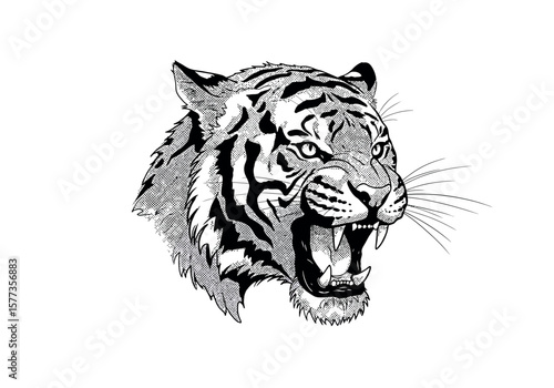 Fierce tiger portrait showcases intricate black and white sketch art, with snarling mouth and detailed stripes