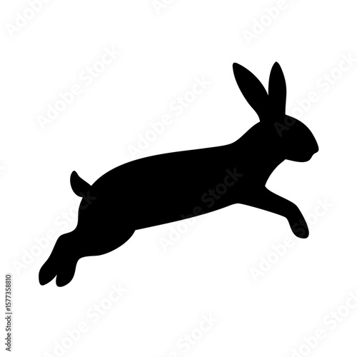 Jumping Rabbit: The Agile and Adorable Hopper