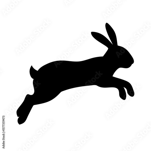 Jumping Rabbit: The Agile and Adorable Hopper