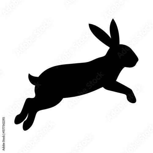 Jumping Rabbit: The Agile and Adorable Hopper