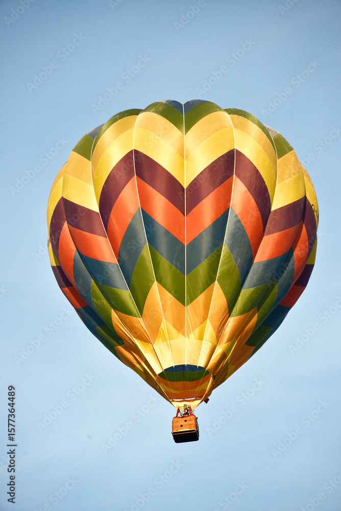 Fototapeta premium hot air balloons in flight
