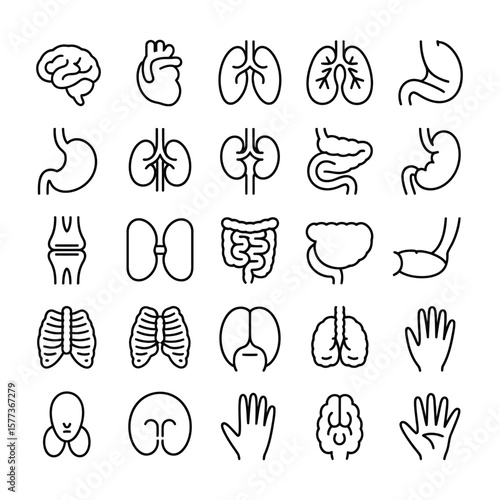 Collection of Black and White Line Art Human Organ Icons Depicting Brain Heart Lungs Stomach Kidneys Intestines Rib Cage Hands and More Anatomical Illustrations for Medical or